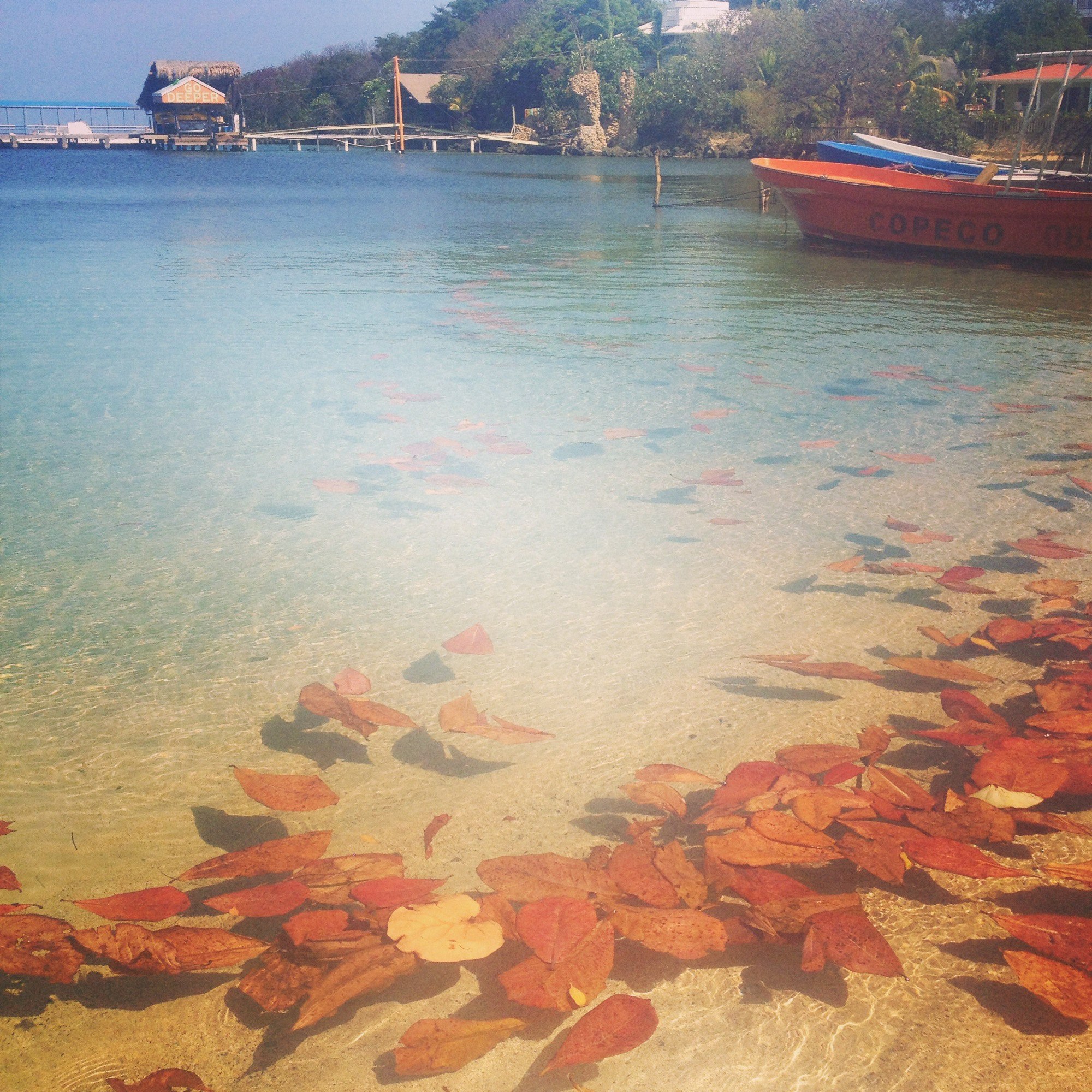 From Then To Now Of Life And Love May April Vokey