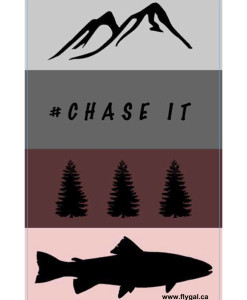 4-x-6-Chase-it-decals